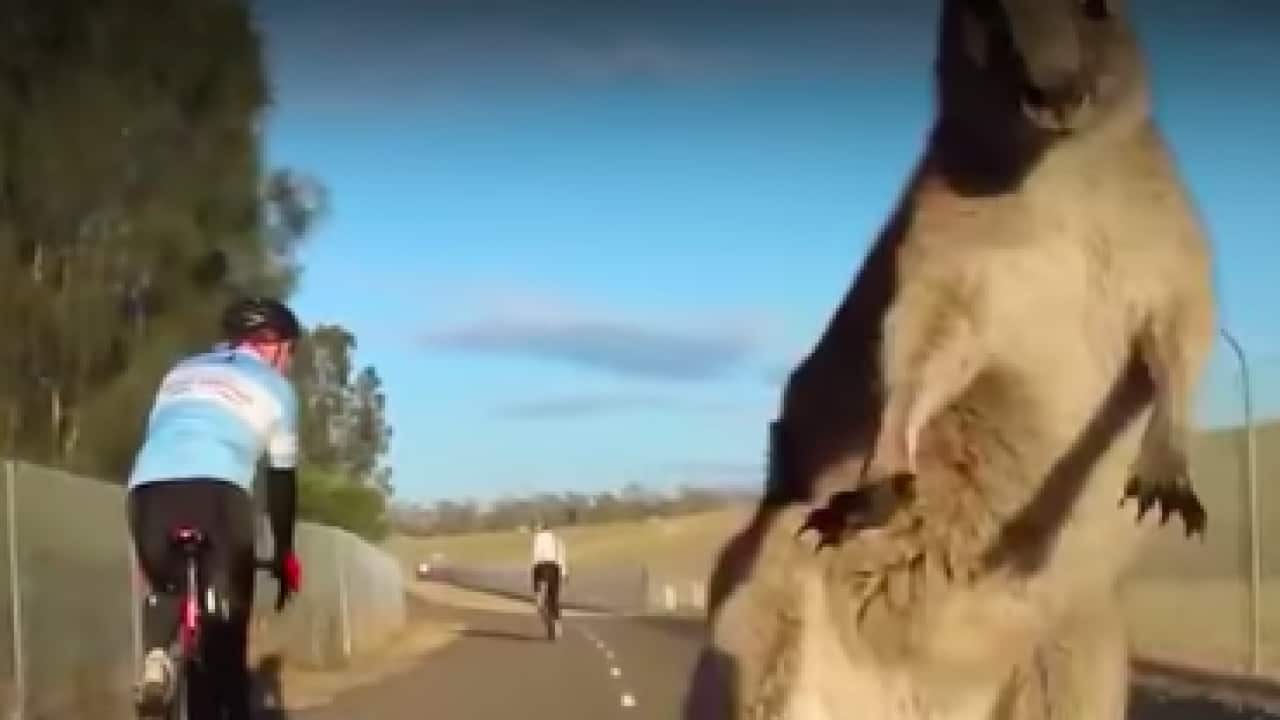 Fly12 CE - Reservoir Roos