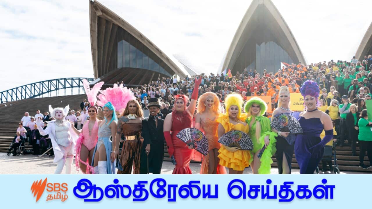 Sydney Mardi Gras