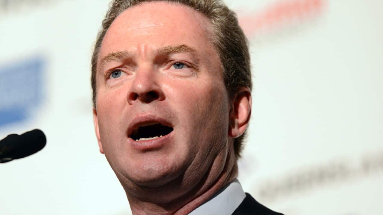 Education spokesman Christopher Pyne