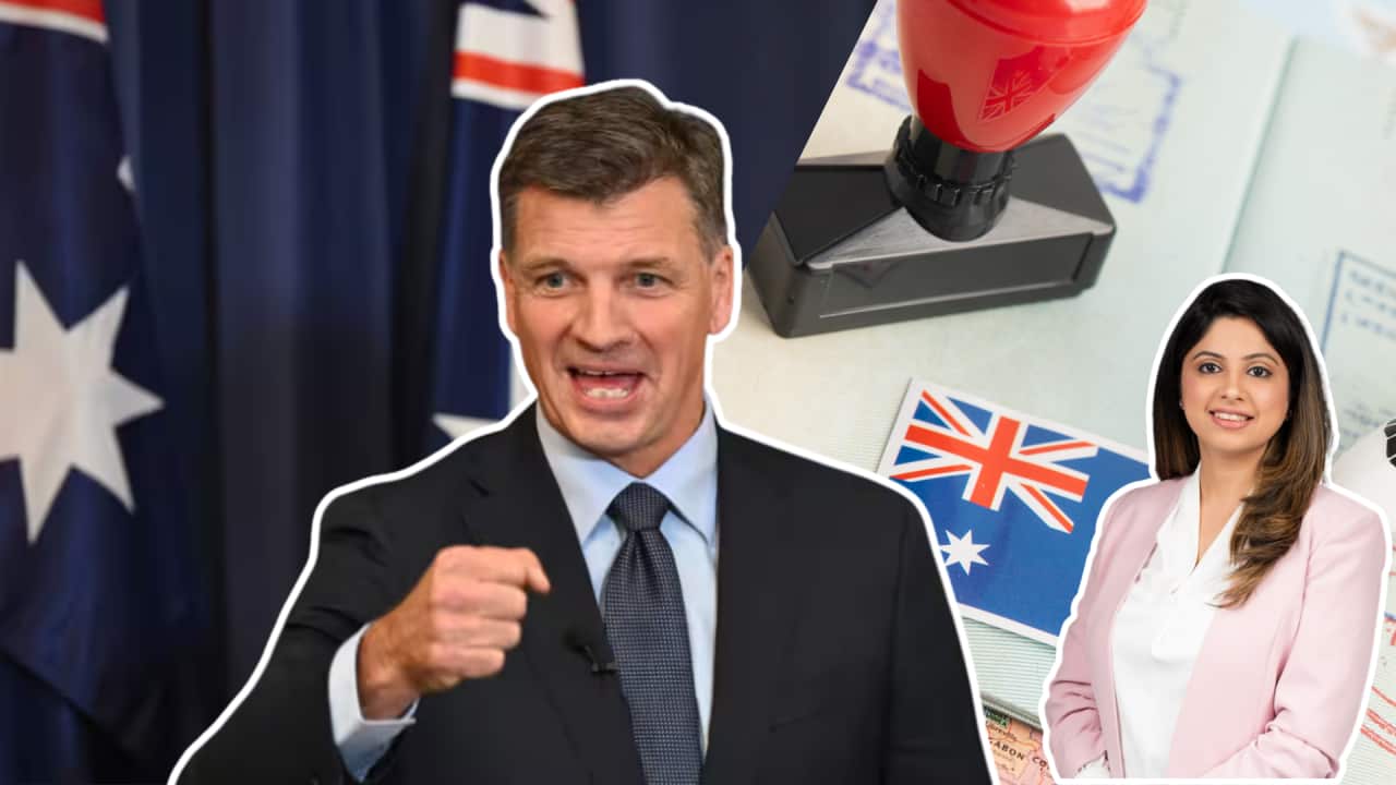 Angus Taylor immigration policy announcement