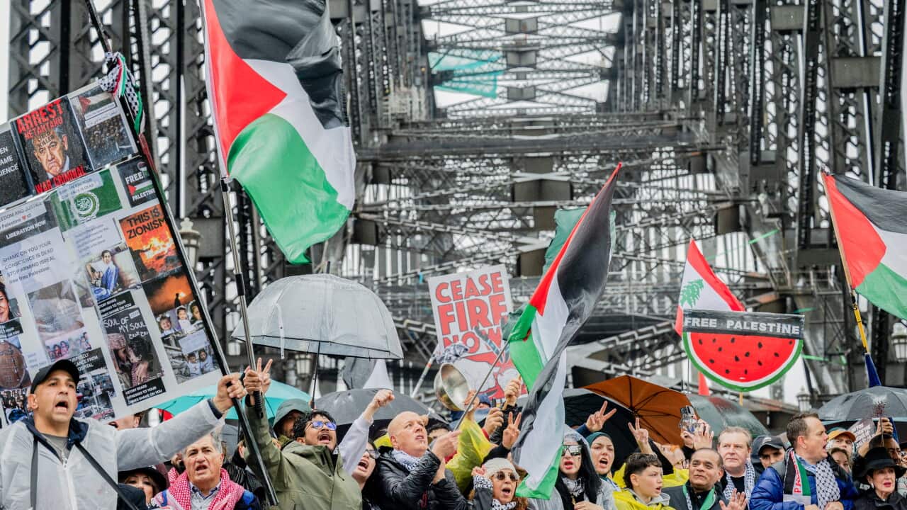 Pro-Palestinian protest in Sydney, Australia - 03 Aug 2025