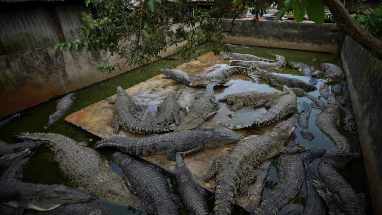 The incident happened Saturday following the funeral of the 48-year-old man who was killed after he entered an enclosure