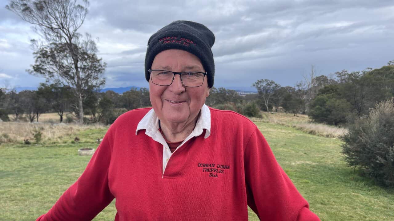 Dick Groot Obbink at Durra Durra Truffles