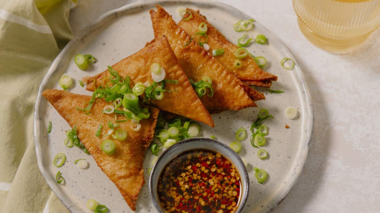 Pork and prawn wonton bites