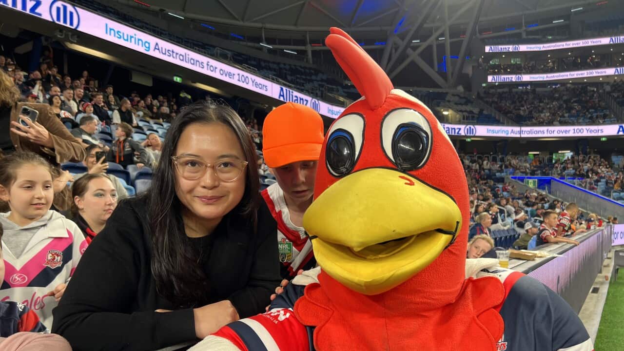 Image for read more article 'RELATED CONTENT'