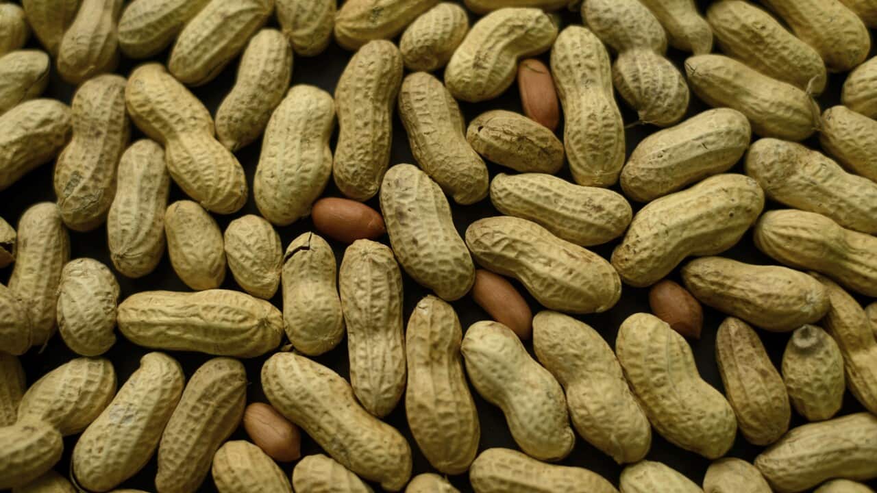 Peanut Allergy Treatment