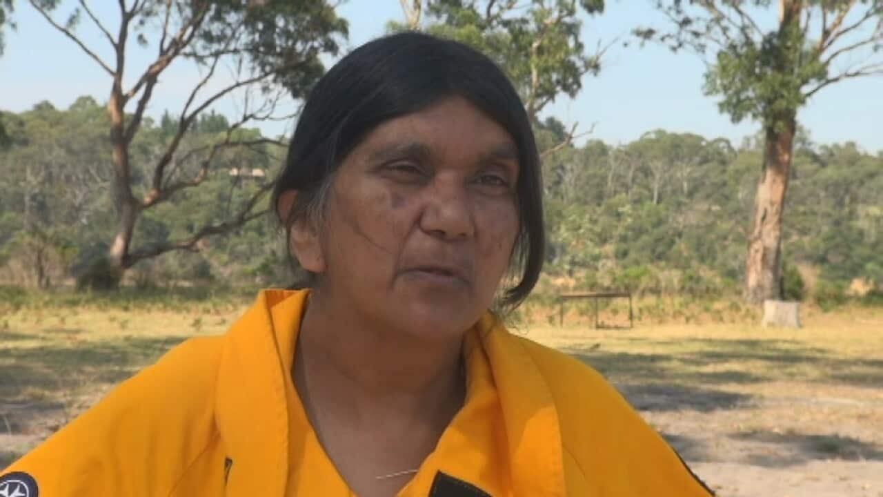 Charmaine Sellings SBS.jpg