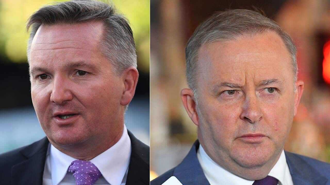 Chris Bowen and Anthony Albanese
