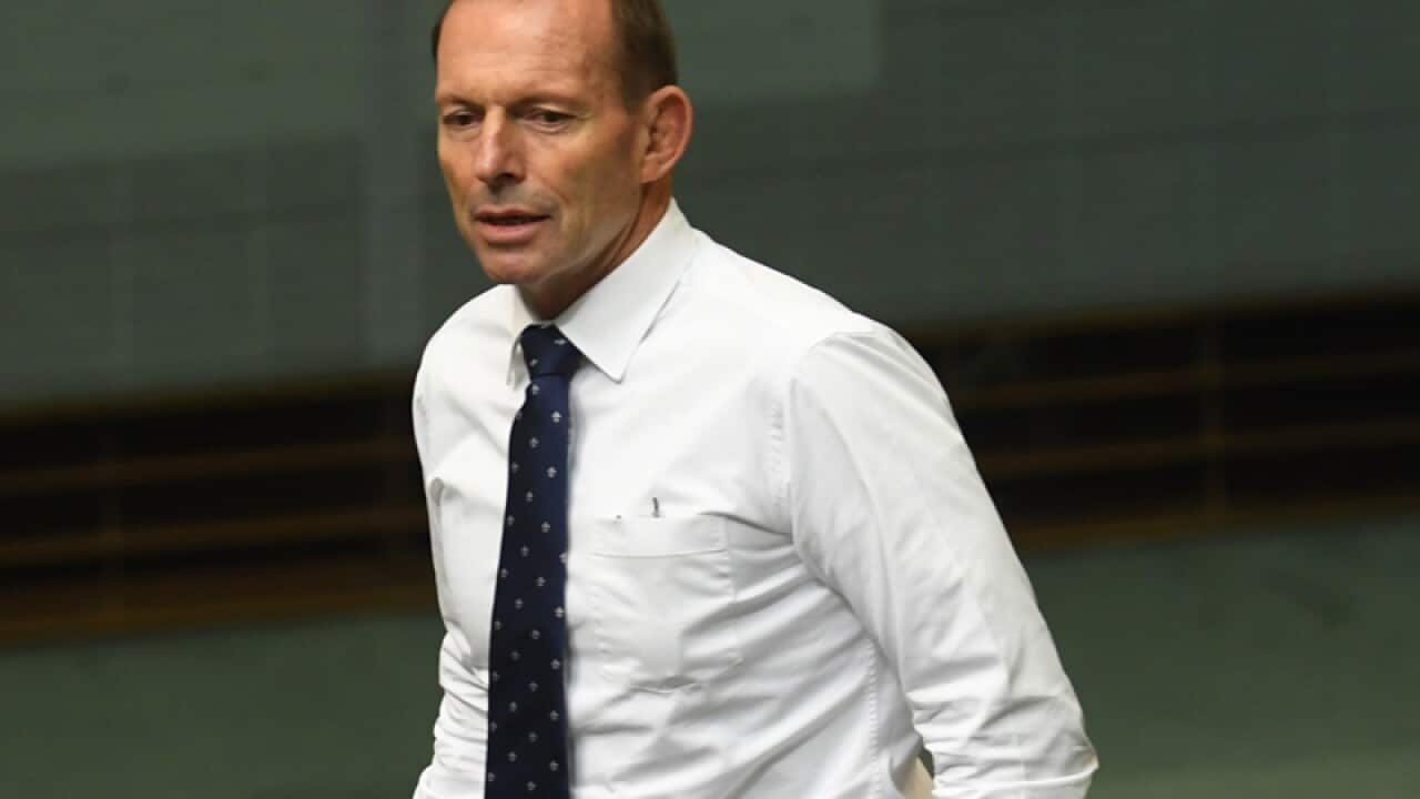 Liberal MP Tony Abbott