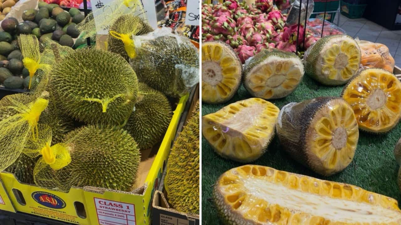 Durian and Jackfruit.png