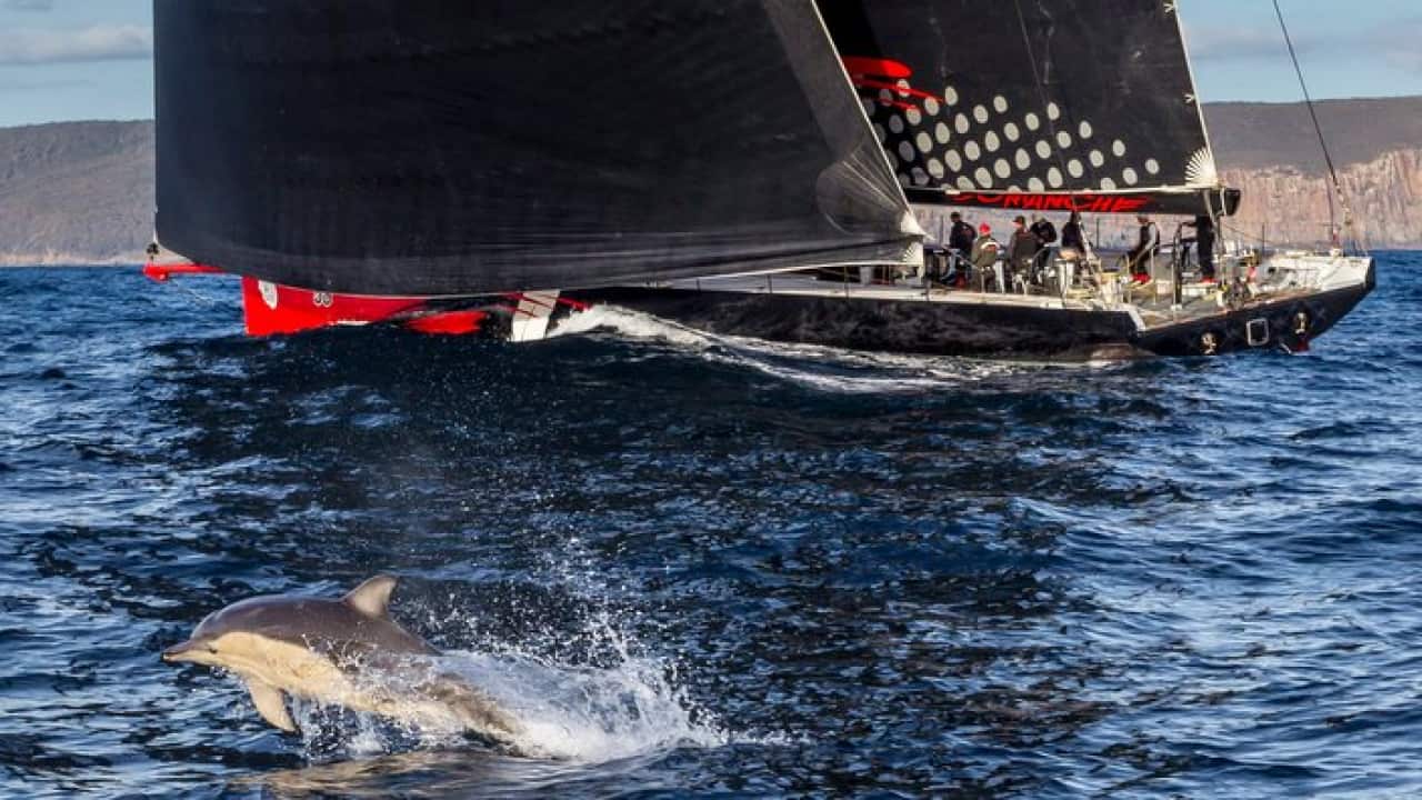 yatch race