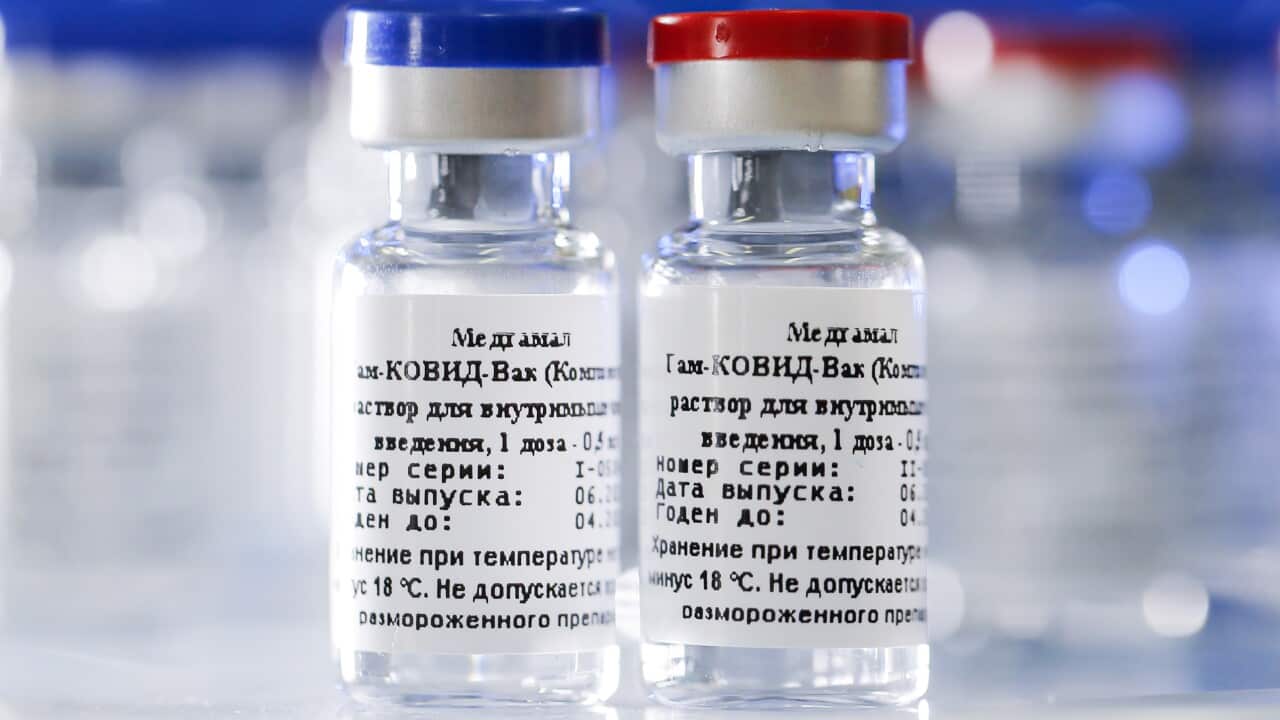 Ampoules contain a vaccine for COVID-19 developed by Gamaleya Research Institute of Epidemiology and Microbiology under the Russian Healthcare Ministry.