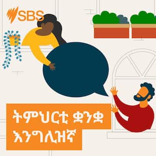 Learn English in Tigrinya_3000 x 3000_v3-50.jpg