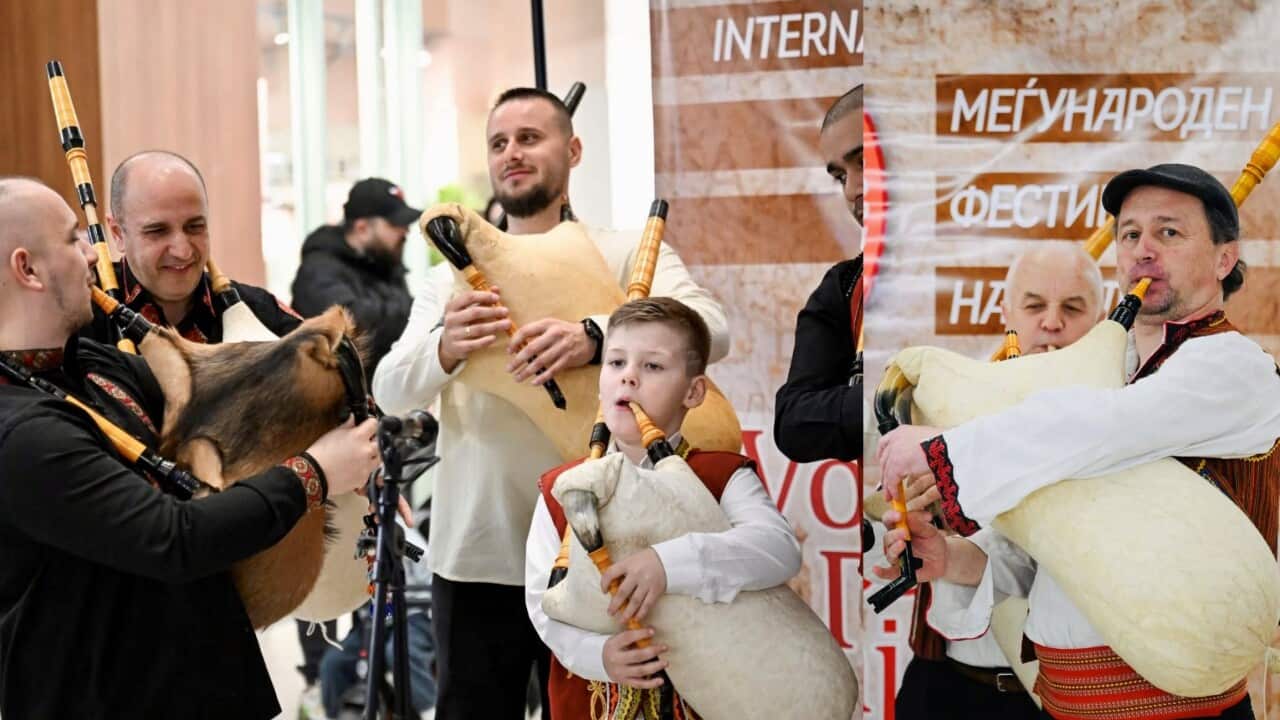 Stefce gajda web.jpg