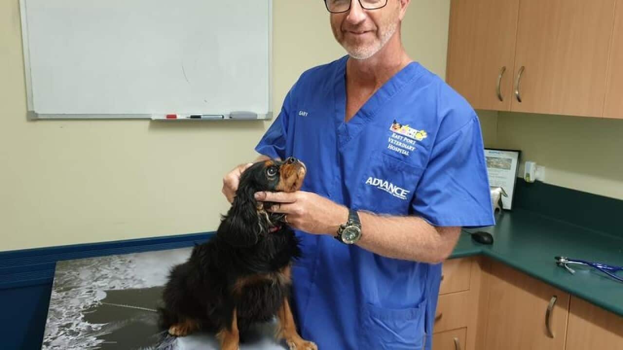 Veterinarian Gary Turnbull posing for a photograph.