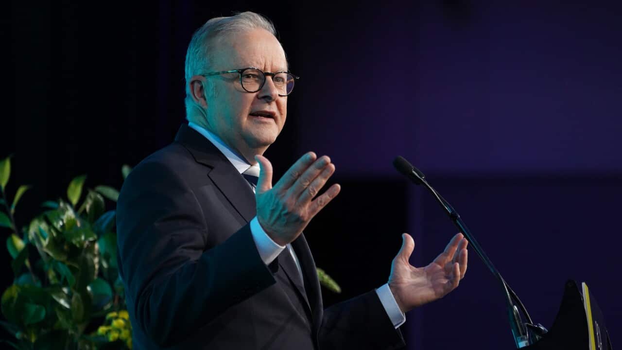 Prime Minister Anthony Albanese.