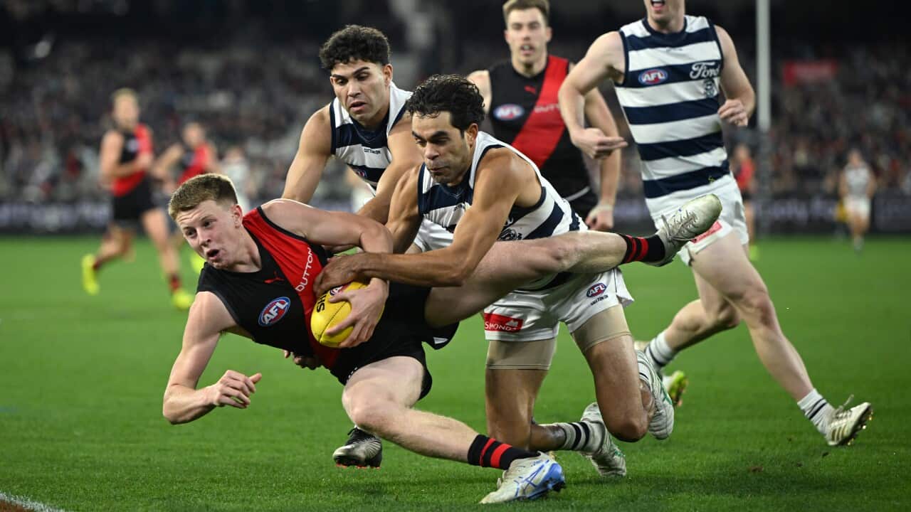 Image for read more article 'Más información:'