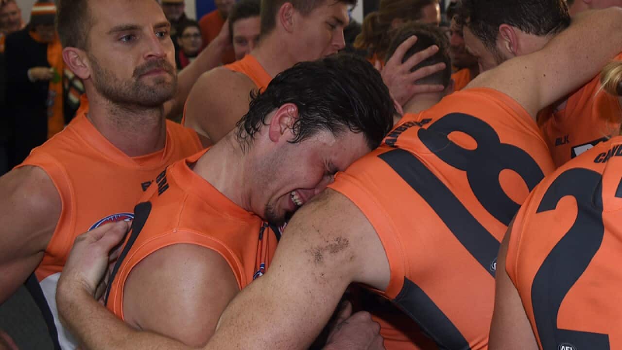 Giants players celebrate their win over the Tigers