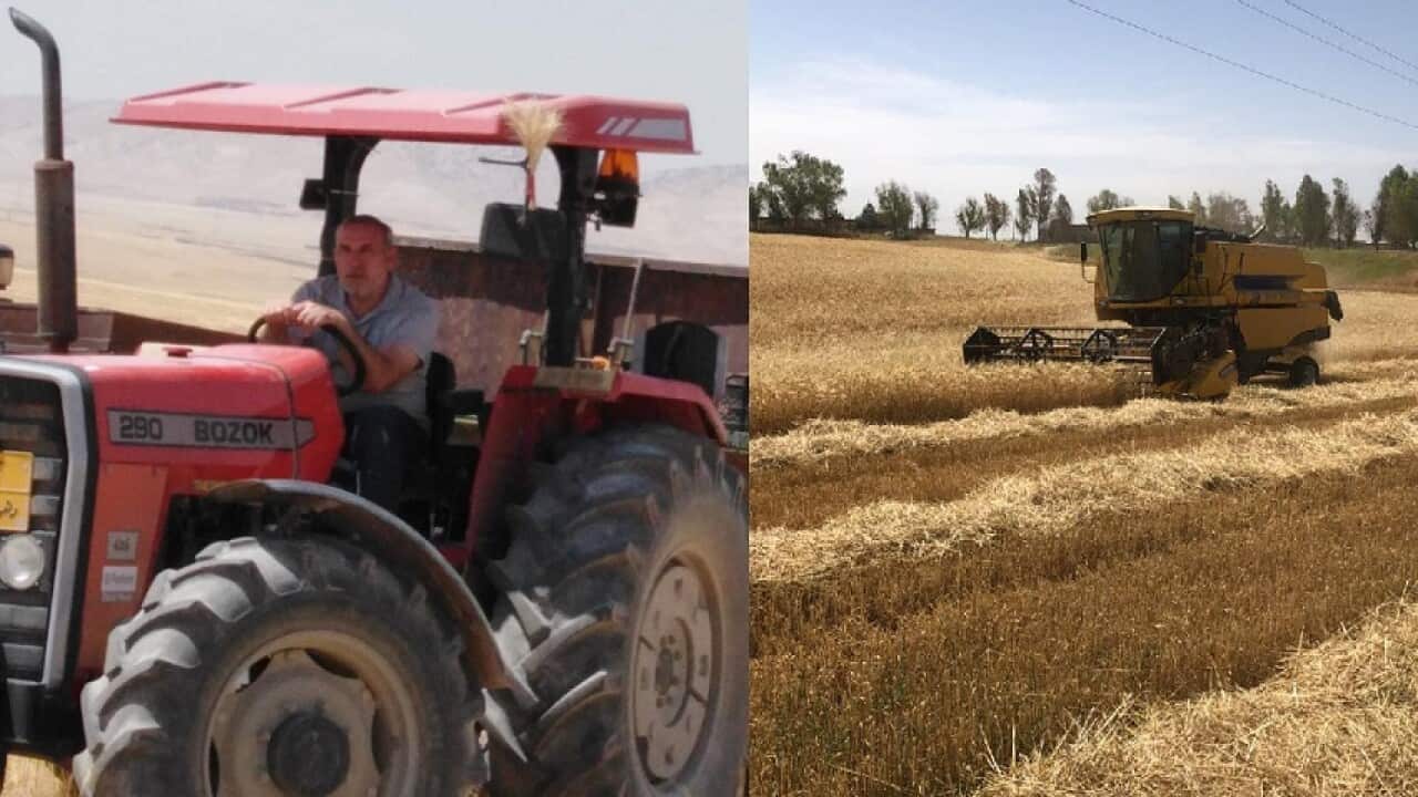 poster sharafya 2.jpg