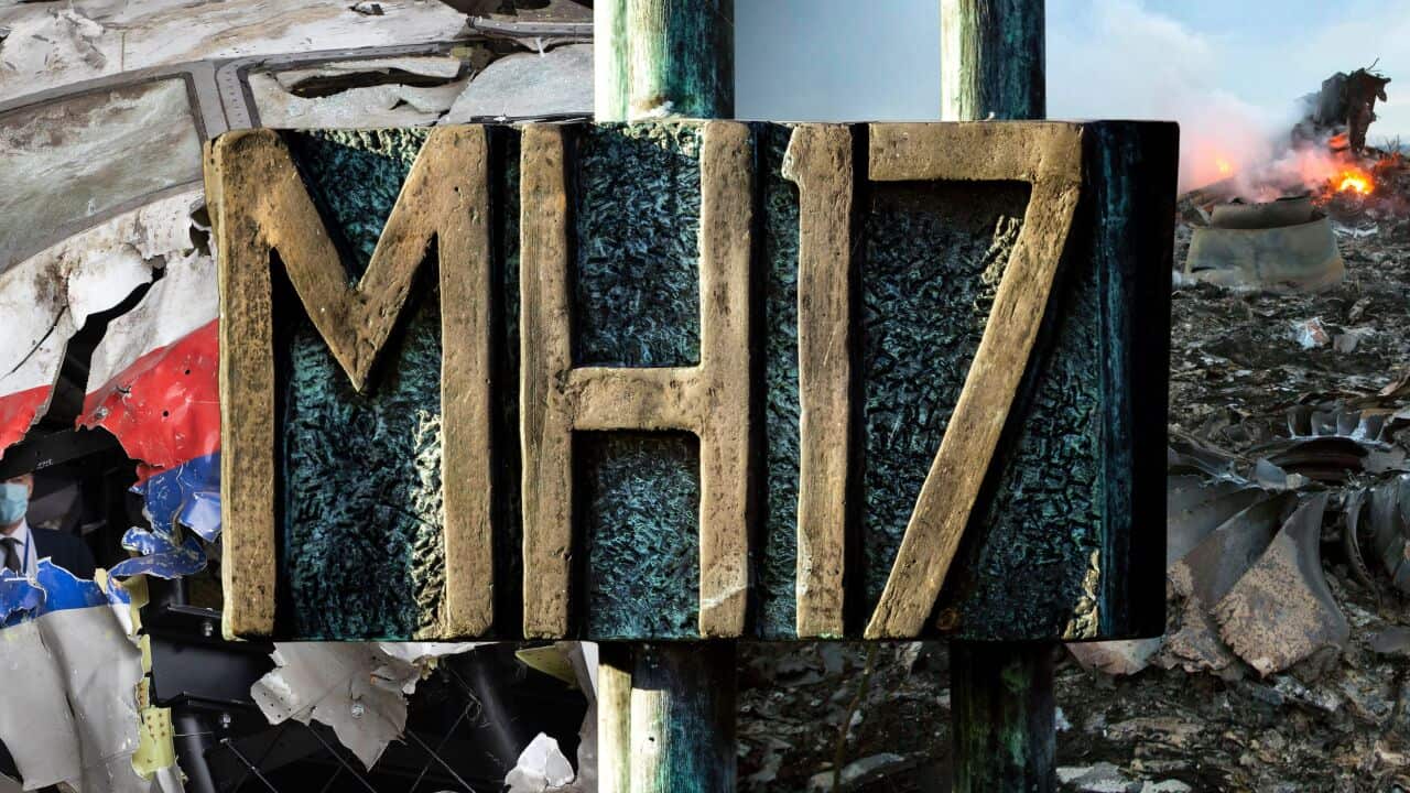 MH17 collage.jpg