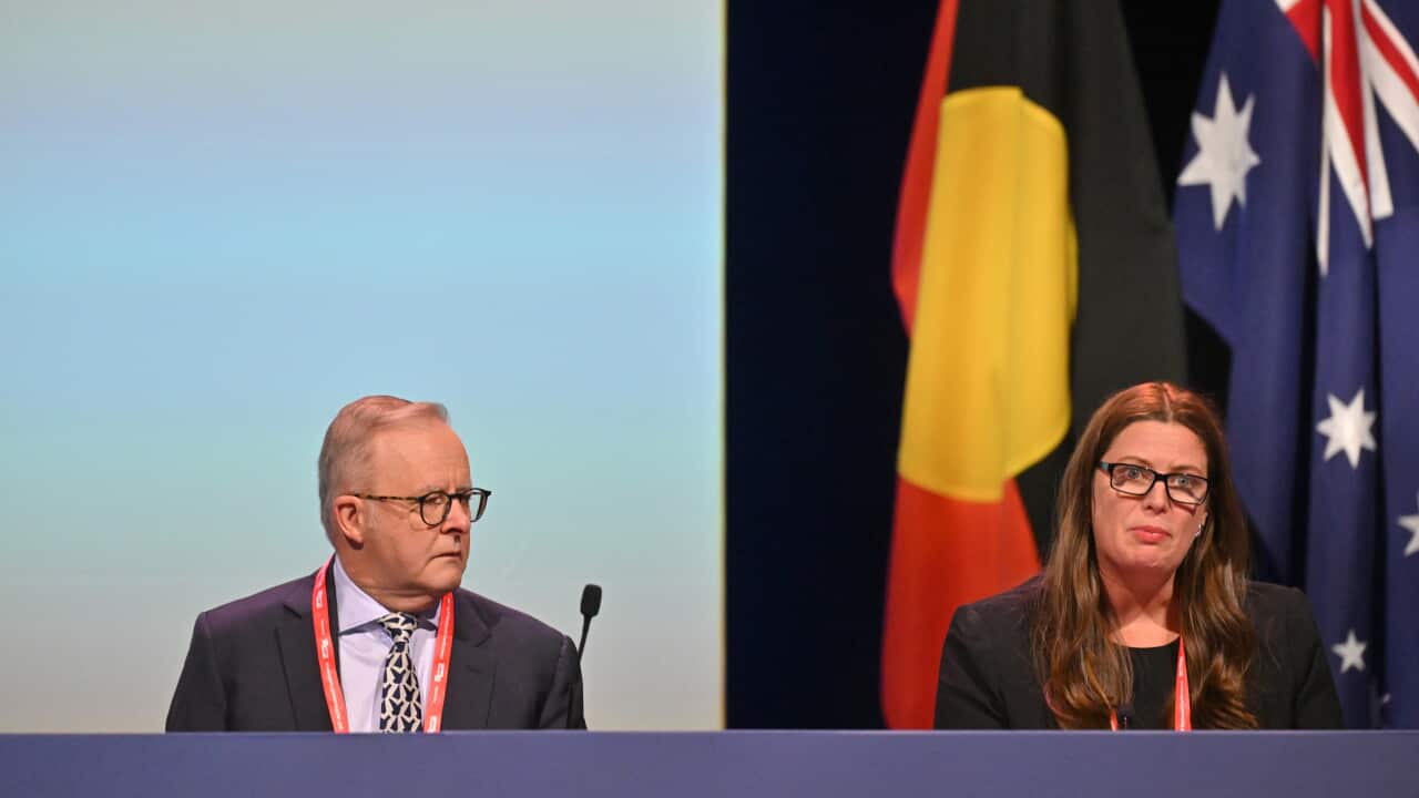 ALP NATIONAL CONFERENCE