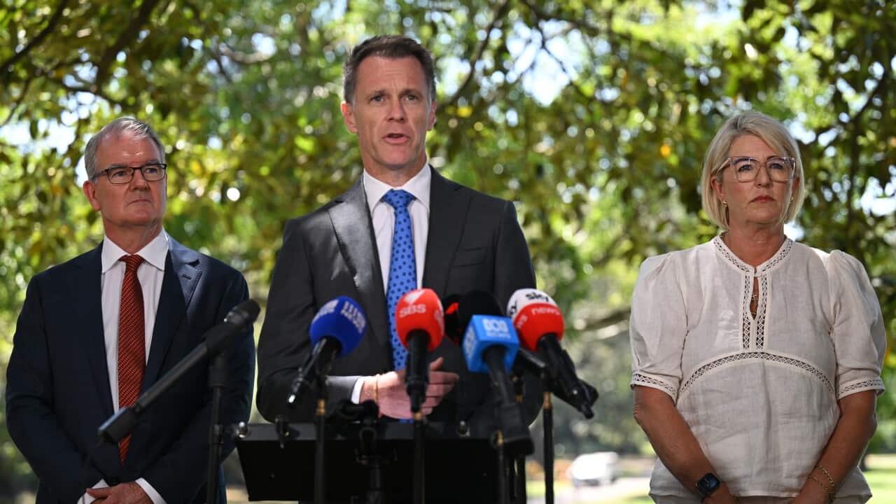 Three people stand under a tree, including two men and a woman. The man in the centre wears a dark suit and is speaking into microphones