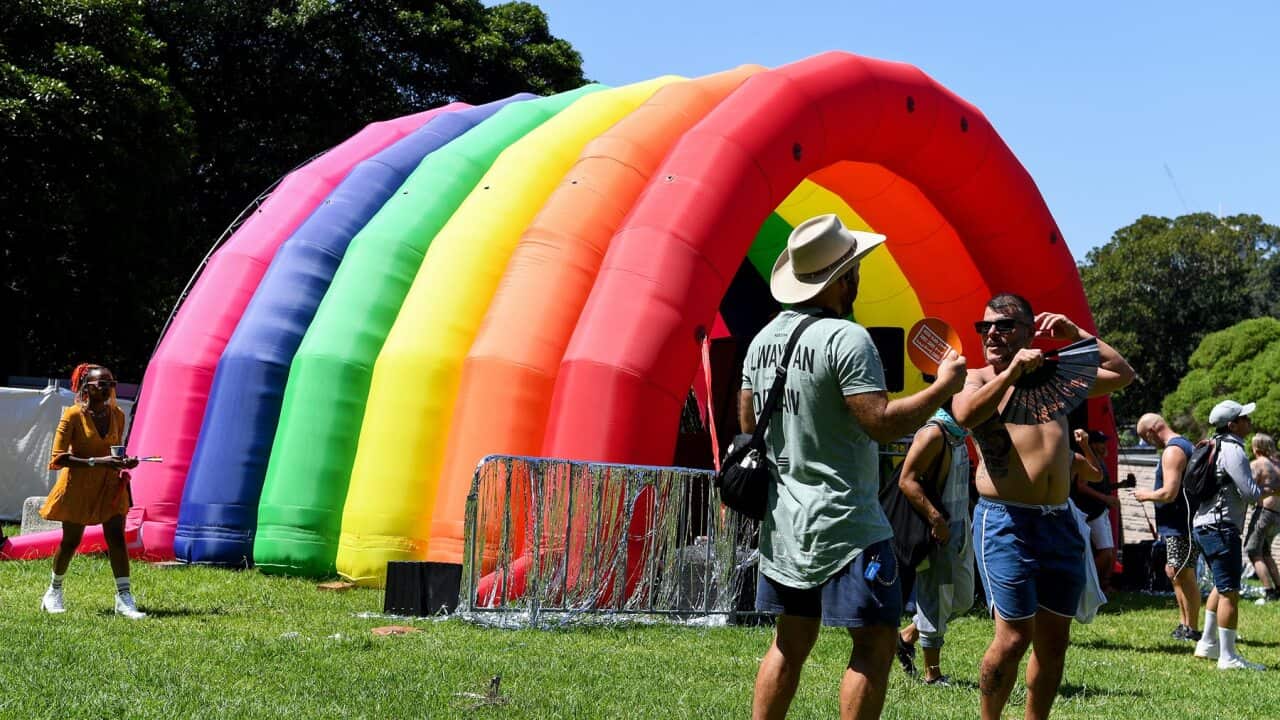 Image for read more article 'READ MORE'