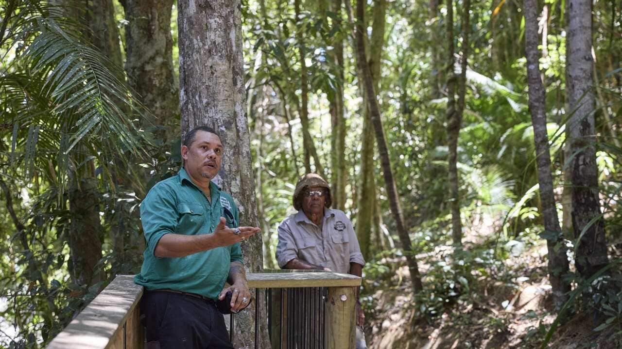 Allan Anderson and Ross Rosas leading the Rainforest to Bush Cultural Experiences tour.jpg
