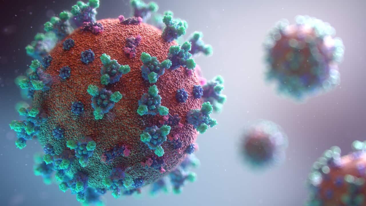 Coronavirus - Fusion Medical Animation-Unsplash
