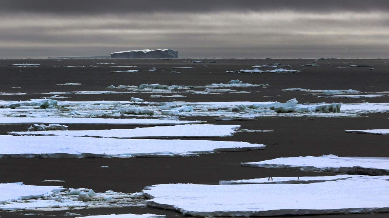 Pack ice and huge icebergs in Antarctic waters near Commonwealth Bay, Antarctica (Getty)