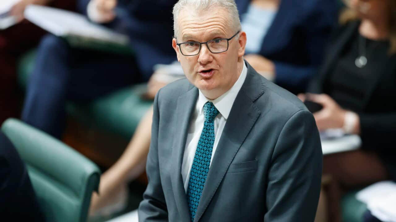 Tony Burke, wearing a suit and tie, standing and talking