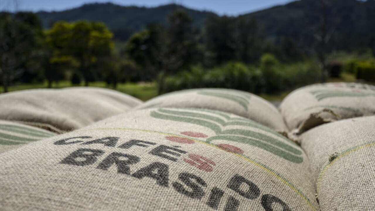 Bags of harvested coffee beans at the Boa Esperanca farm near Braganca Paulista, Brazil. (Paulo Fridman)