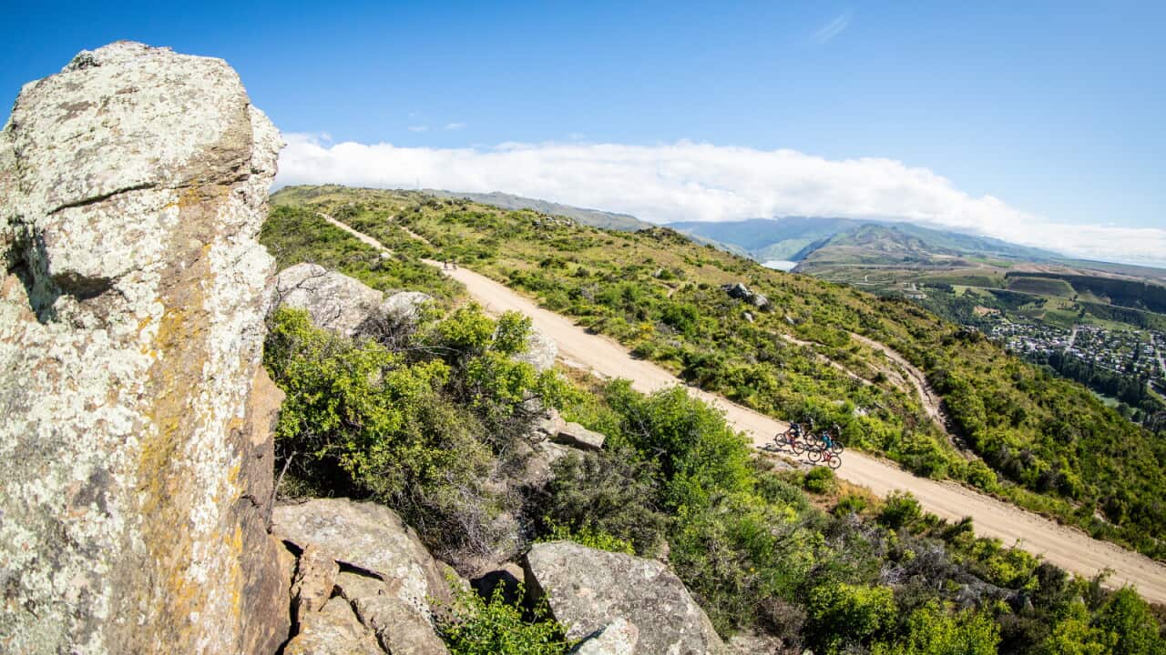 The Pioneer MTB, Cycling, New Zealand
