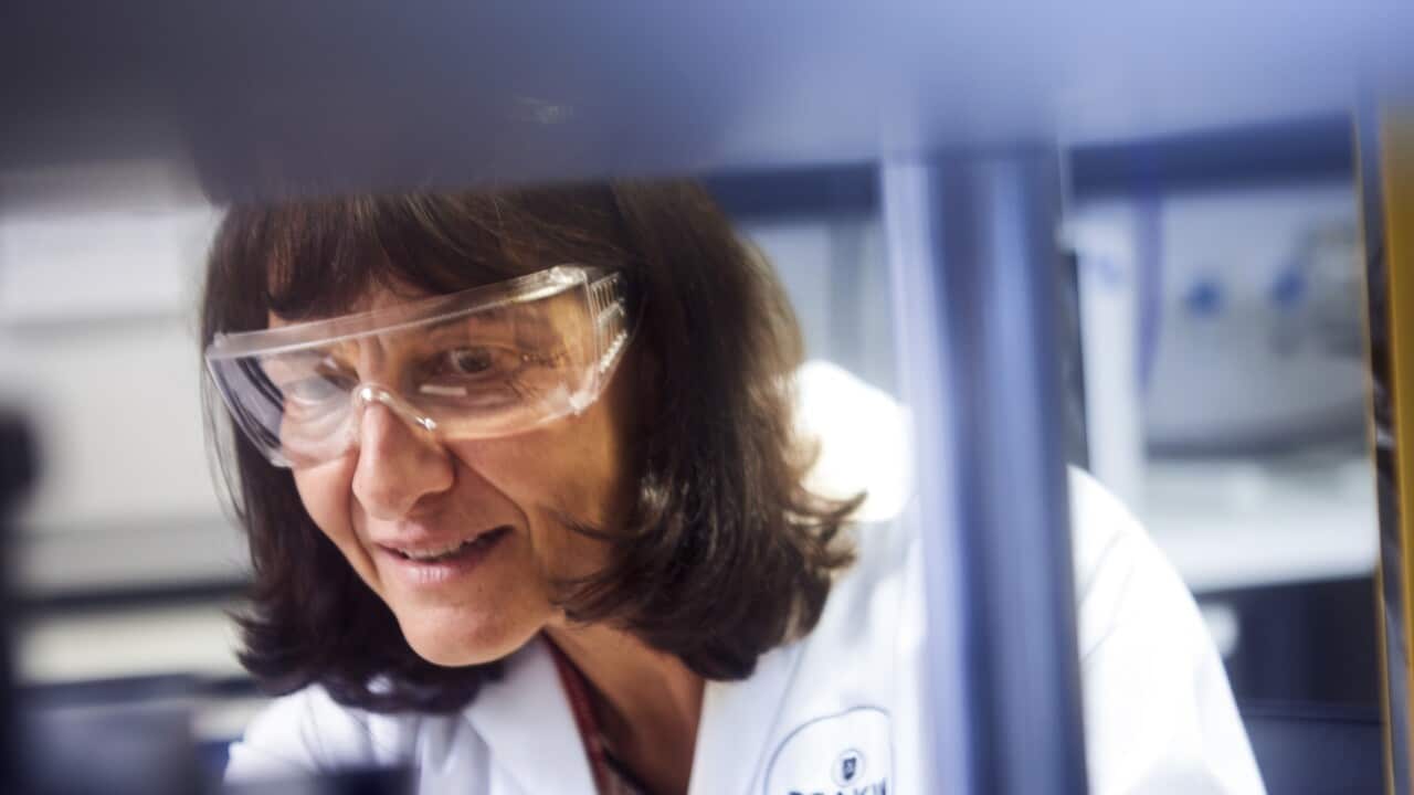 BatTRI-HUB Maria Forsyth 3 2.jpg