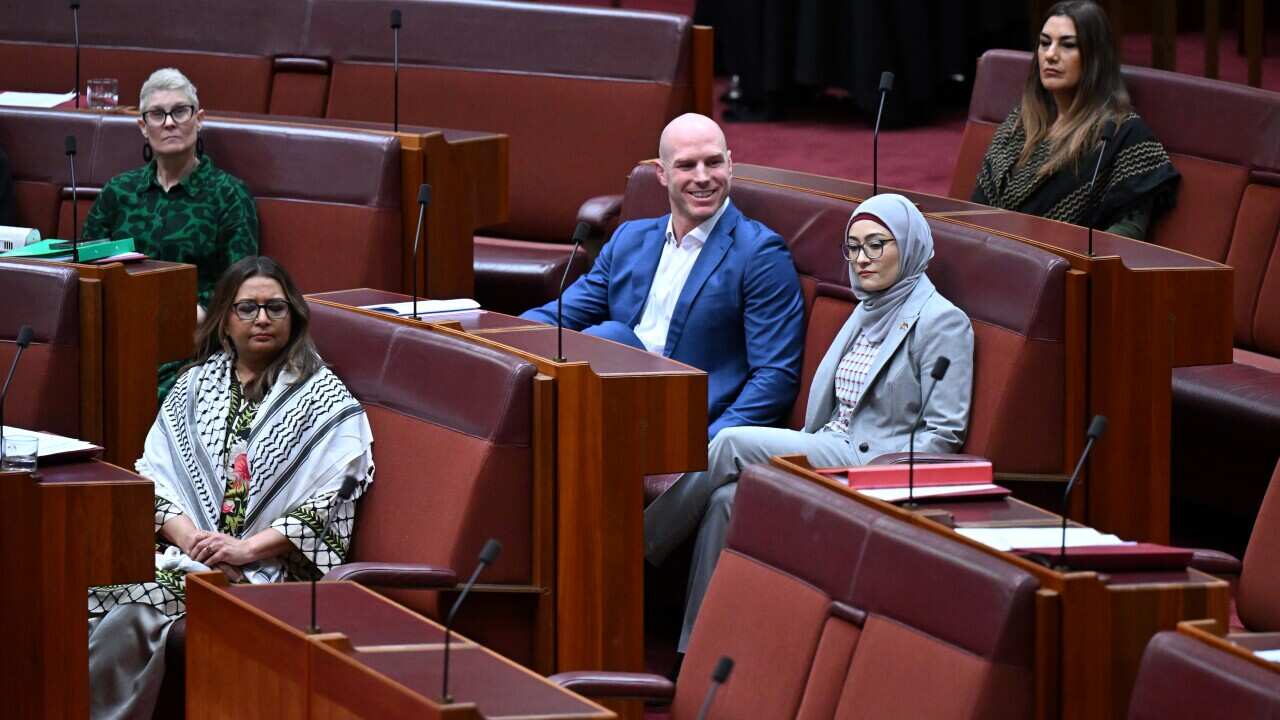 SENATE PALESTINE MOTION