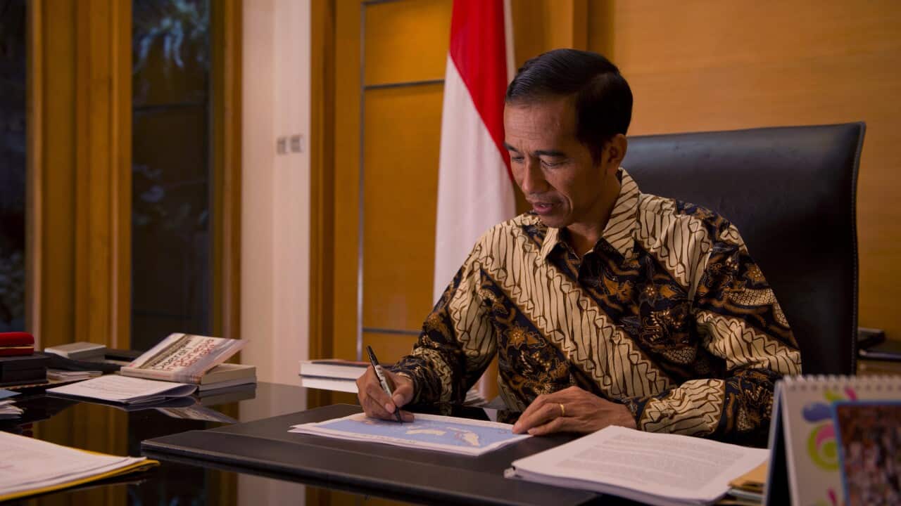 Joko Widodo popularly known by his nickname Jokowi examines document in his Jakarta governor's office (Getty)