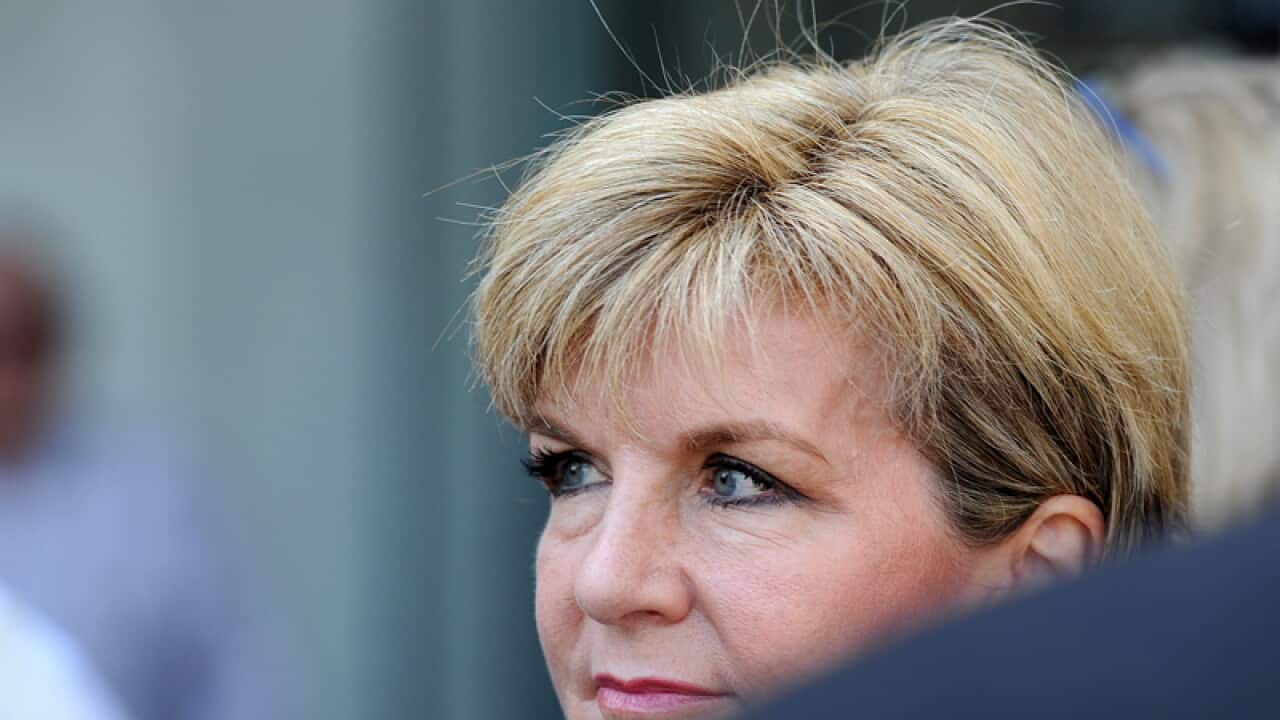 Federal Foreign Affairs Minister Julie Bishop