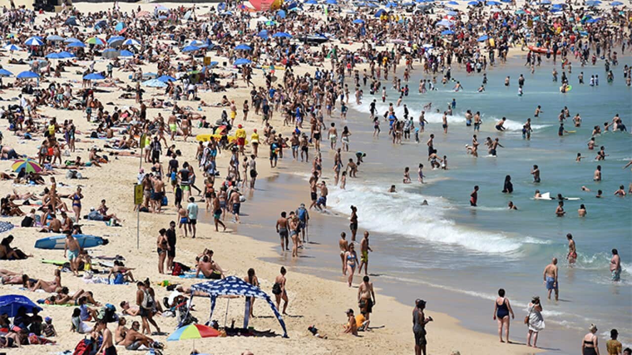 Image for read more article 'READ MORE'