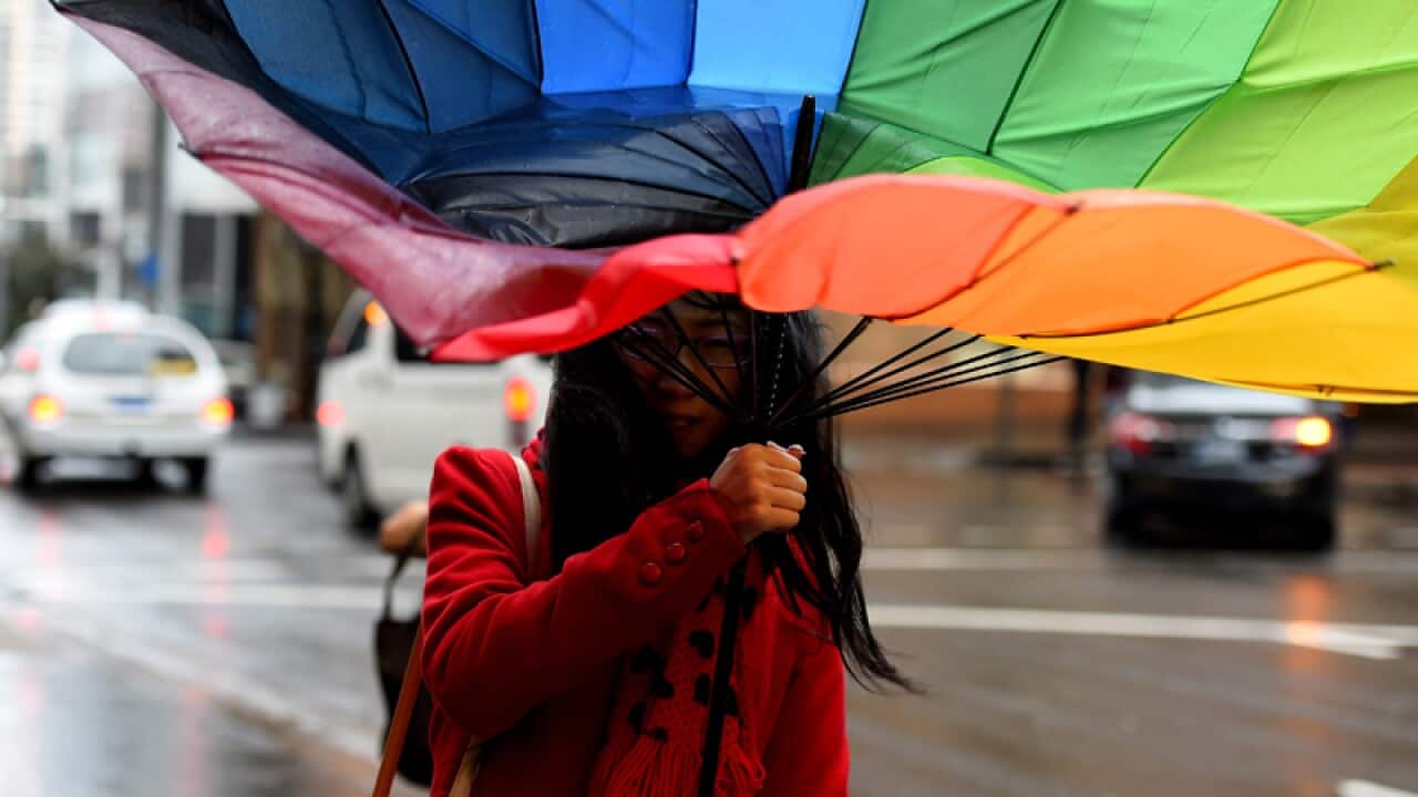 A woman fights the wind with her umbrella