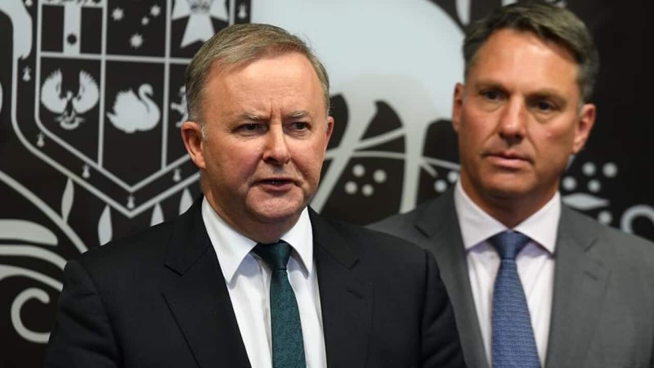 Labor leader Anthony Albanese and deputy Richard Marles.