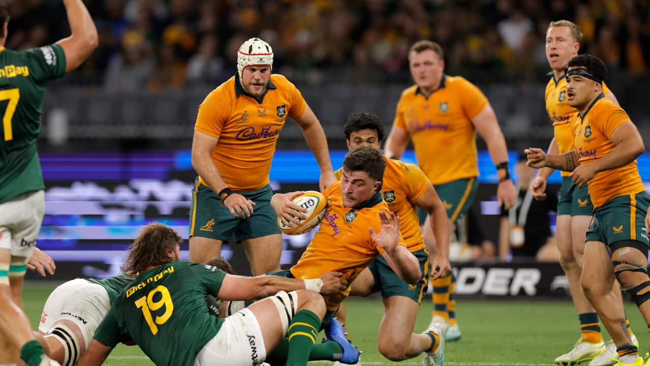 RUGBY UNION AUSTRALIA SOUTH AFRICA