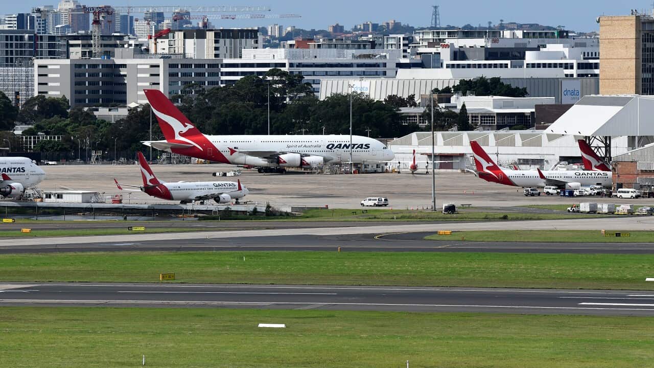 Qantas planes parked at Sydney airport