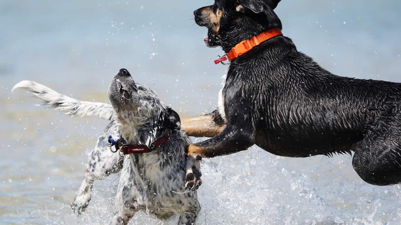 HOT WEATHER MELBOURNE