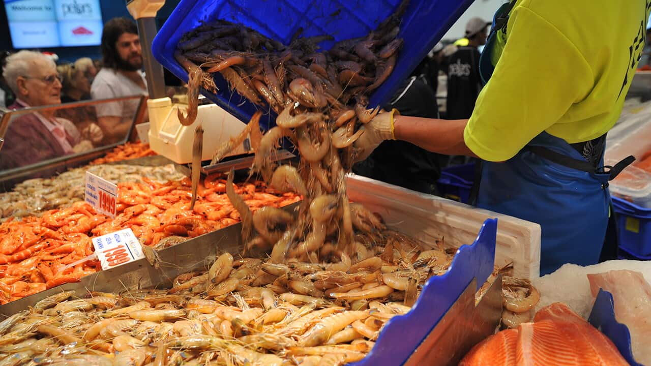 prawns