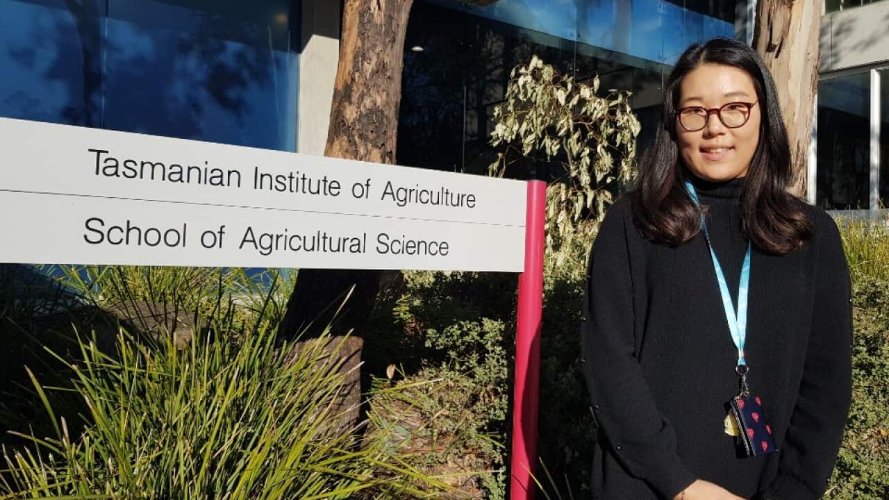 Chanjoo Park, PhD student at University of Tasmania