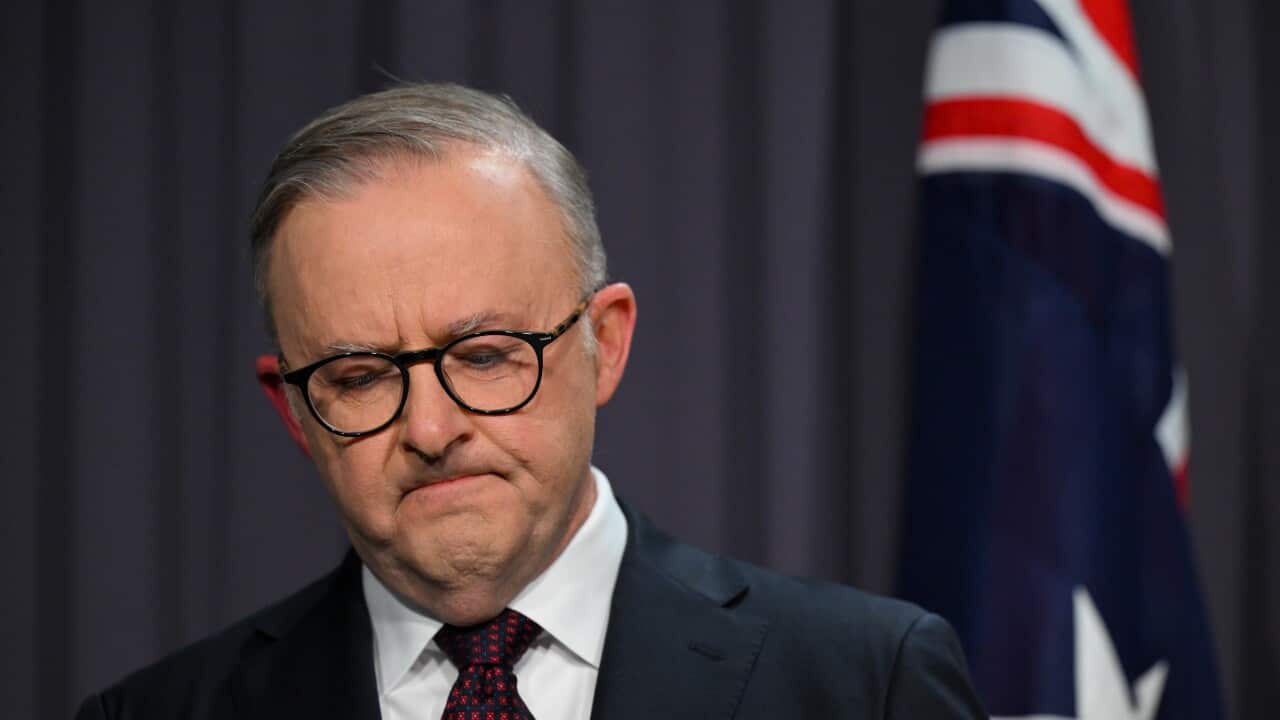 ANTHONY ALBANESE VOICE REFERENDUM ADDRESS