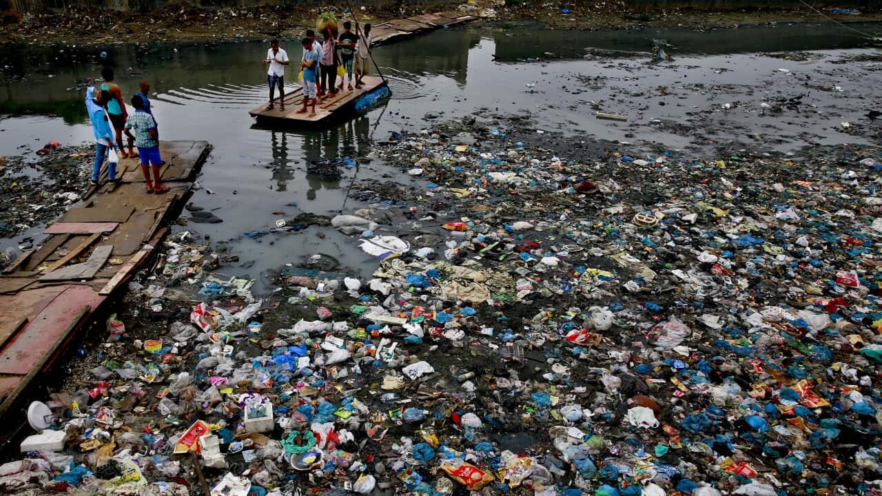 A man guides a raft through a polluted canal littered with plastic bags and other garbage, in Mumbai, India Sunday, Oct. 2, 2016.