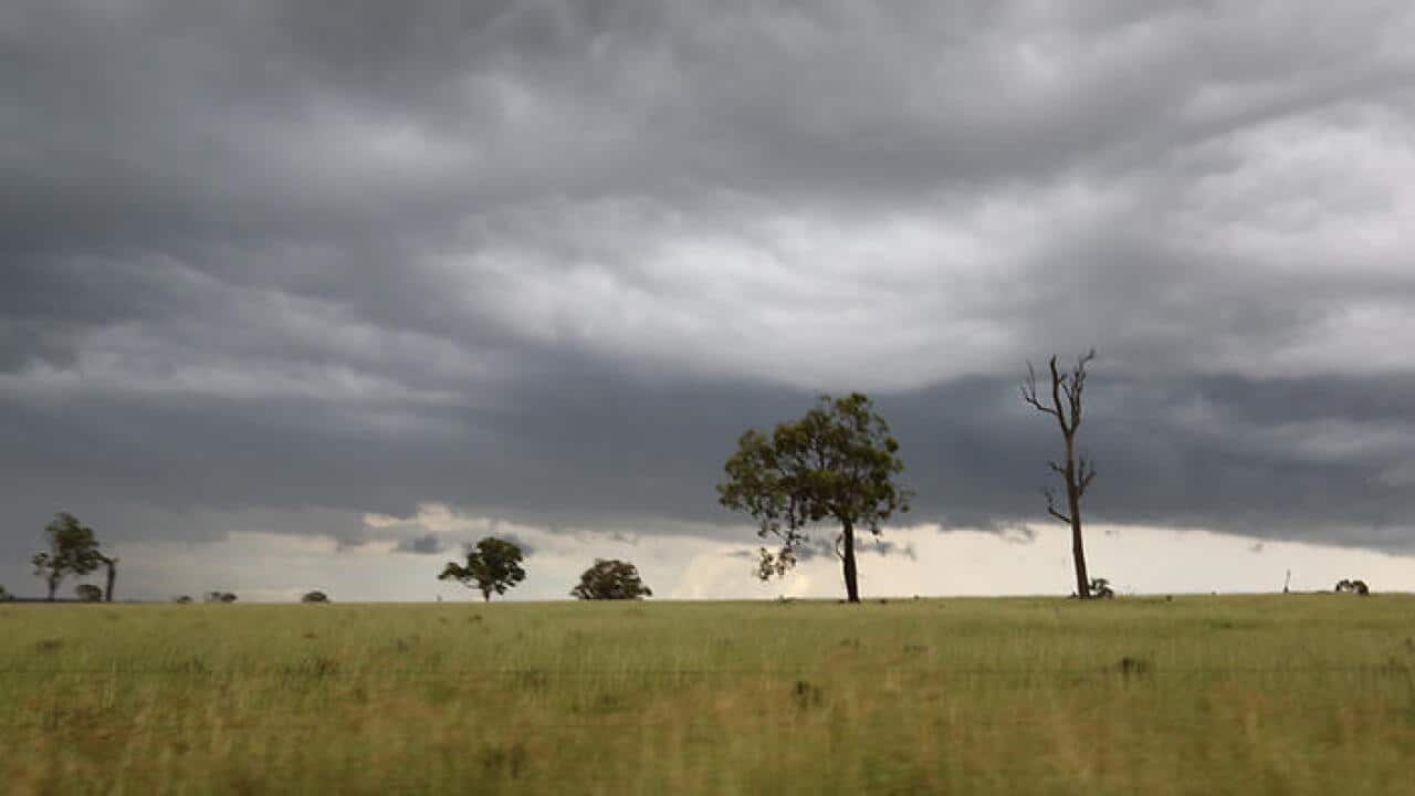 qld