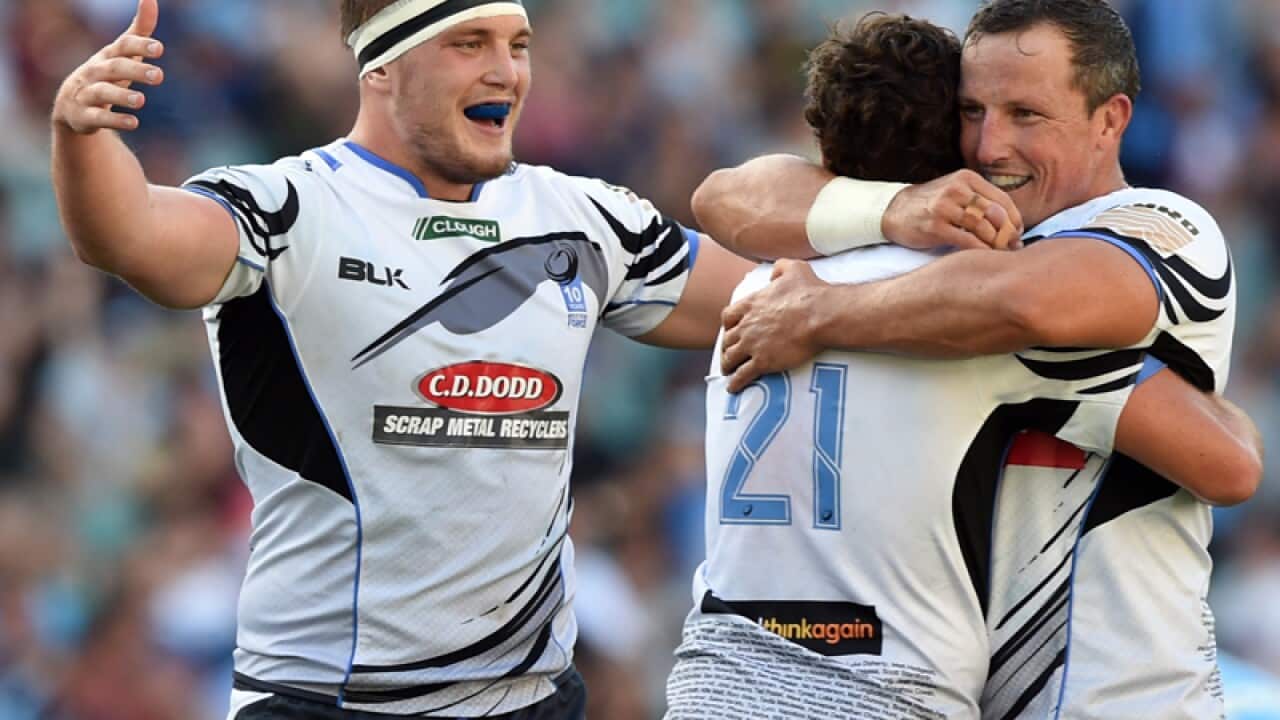 The Western Force celebrate their win