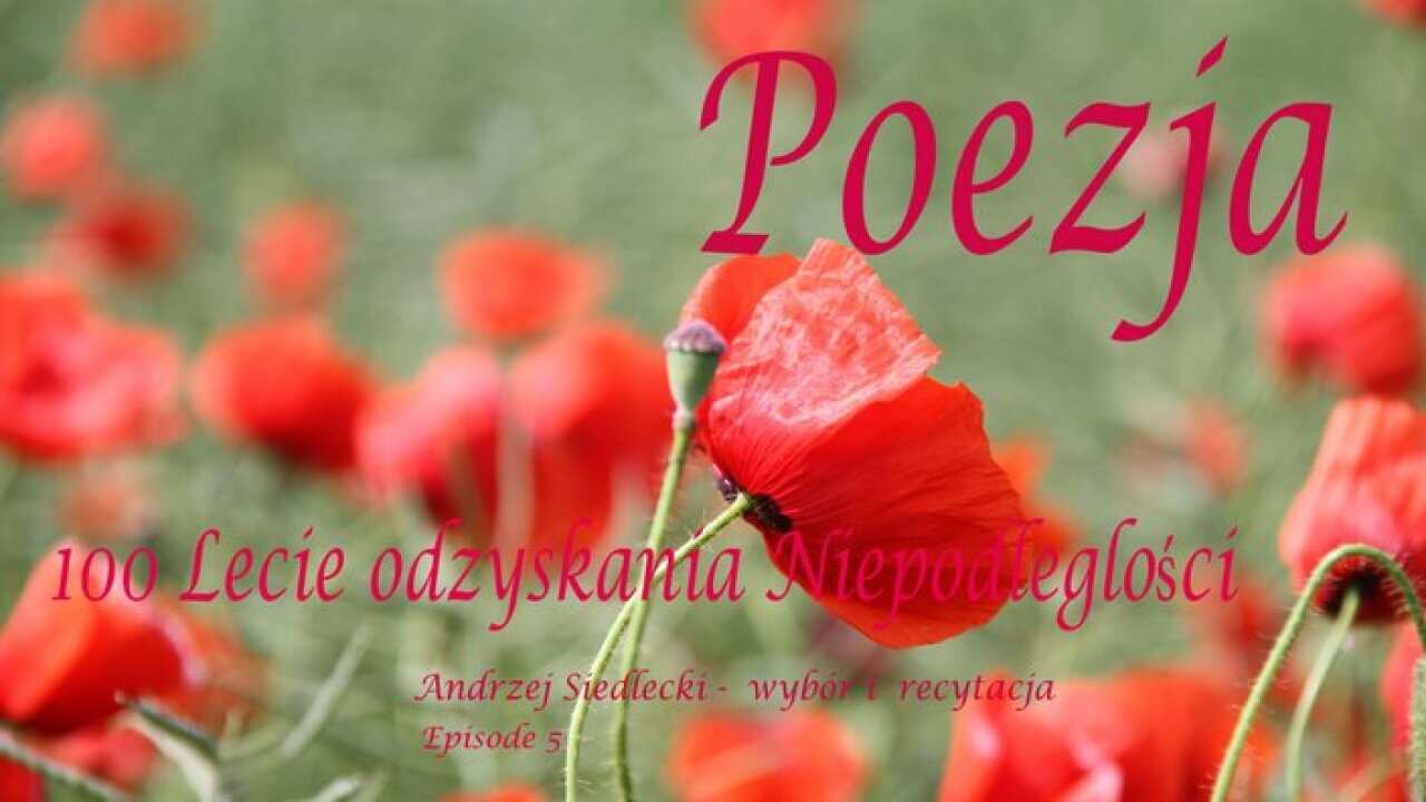 Polska Poezja